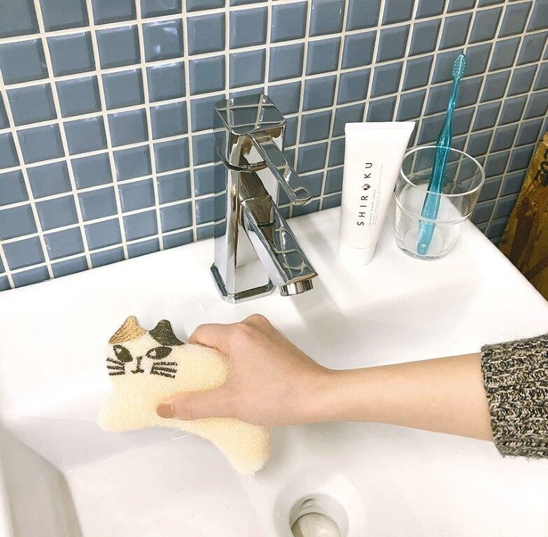 Cat Kitchen Sponge, Cute Japanese Cat Dishwashomg Sponge